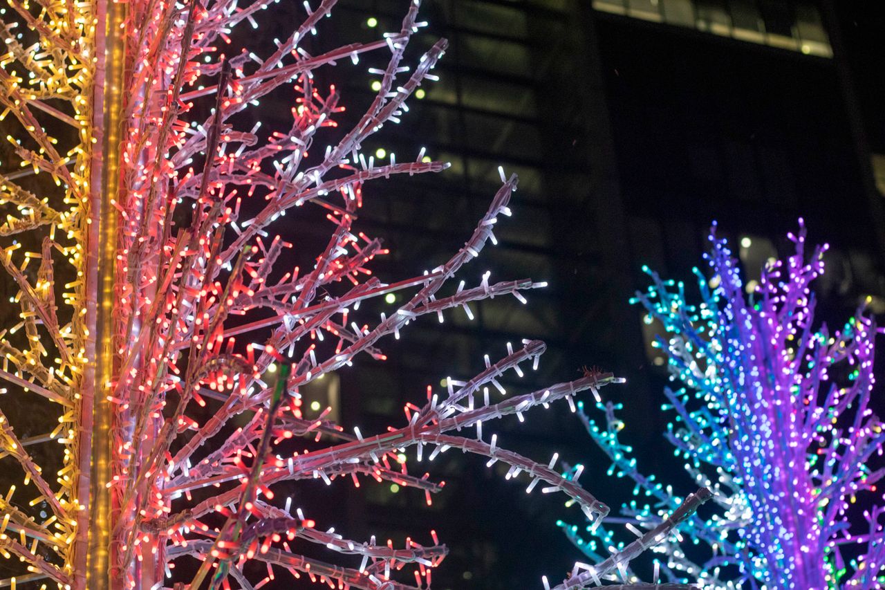 Colorful lights decorating trees at night in the city, creating a festive ambiance.