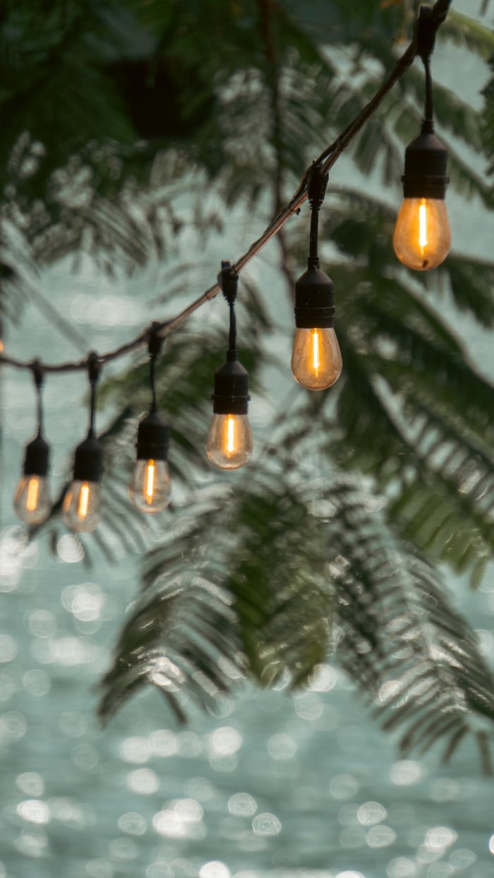 Warm string lights hanging from a tree branch decorate the lakeside in Santiago Atitlán, Guatemala.