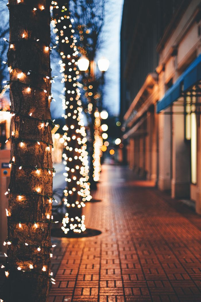 Illuminating garland with yellow lights hanging on trees placed on city sidewalk in evening time