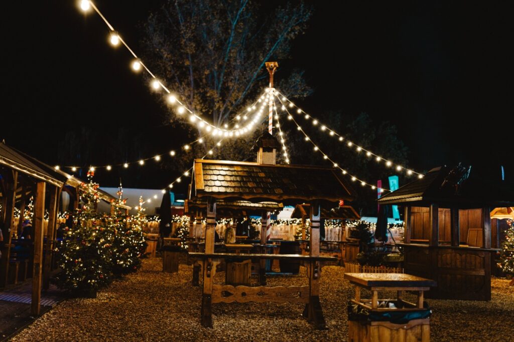 Outdoor garden string lights for decorative lighting