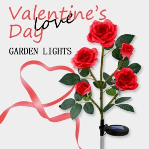 Solar Rose Lights
