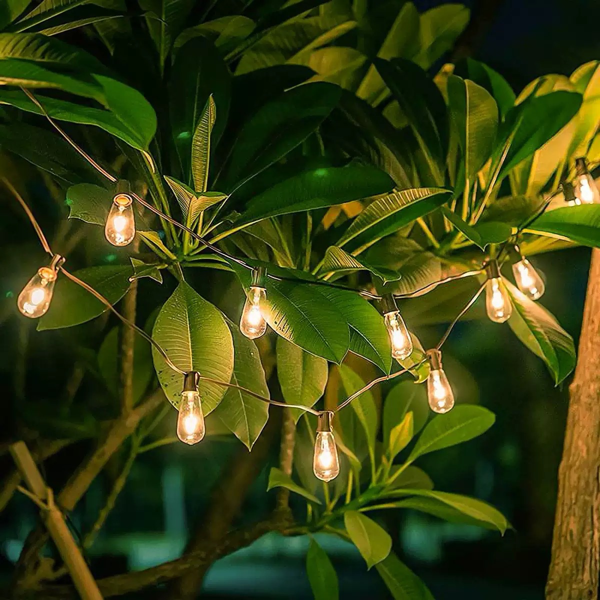 ST38 String Lights - Image 13