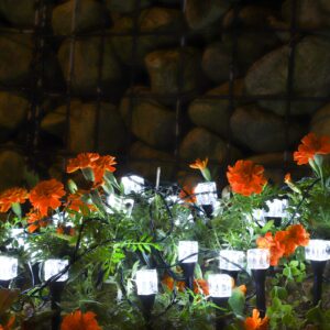Solar Ice Cube String Lights
