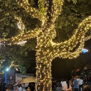 Fairy Star String Lights